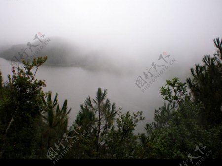 波光盪漾的霧中湖色图片