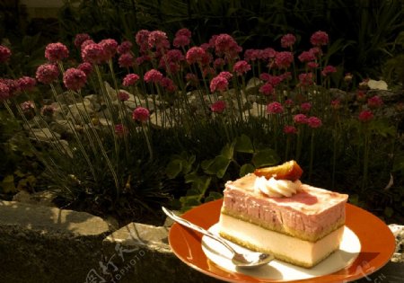 花园里品蛋糕图片