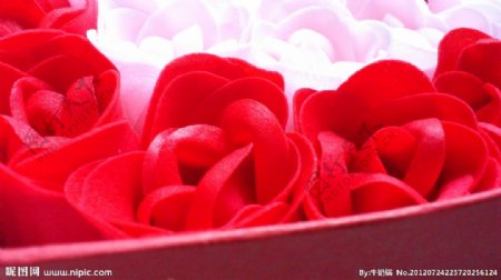 肥皂质的玫瑰花图片
