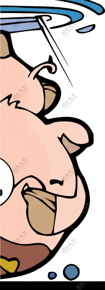 猪的矢量图图片