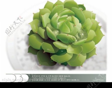 綠色植物矢量素材图片