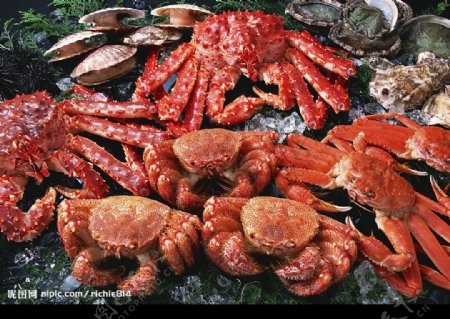 螃蟹美味图片