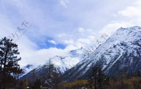 雪山下的山谷图片