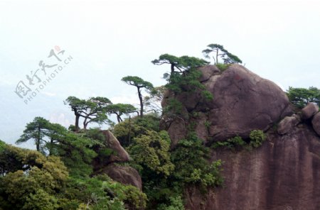 山石风景树图片