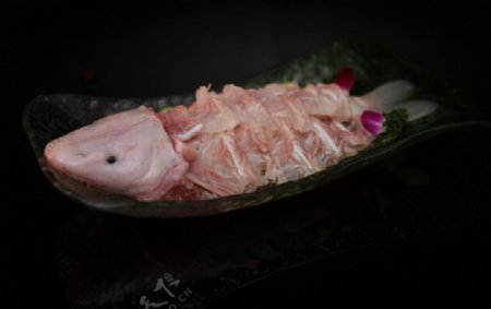 长江江团鱼图片