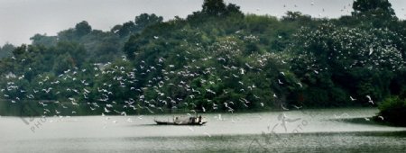 生态南明湖图片