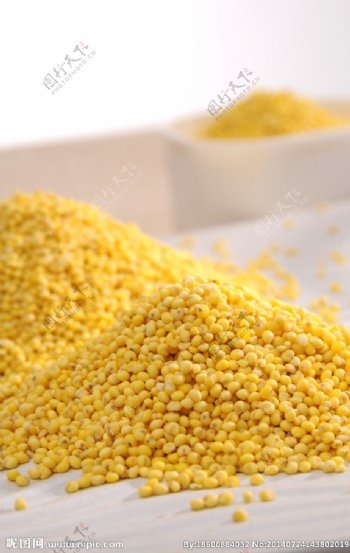 杂粮有机大黄米图片