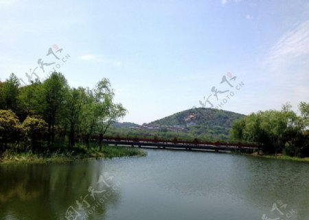 长广溪湿地公园图片