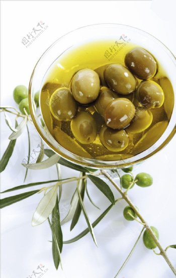 橄榄油系列图片