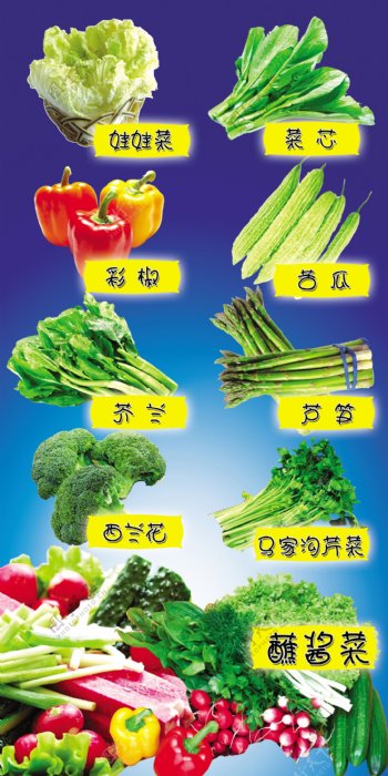 蔬菜农家菜展板图片