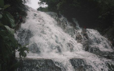 鼎湖山原始森林瀑布图片