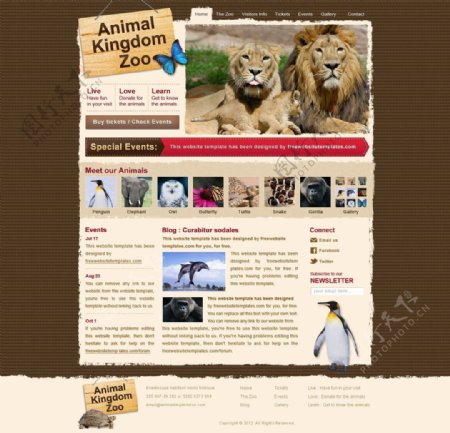 动物园网站模板图片
