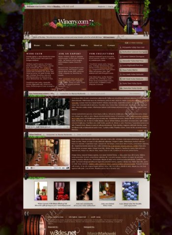 红酒英文网页模板图片