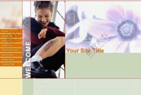 欧美企业网页模板图片