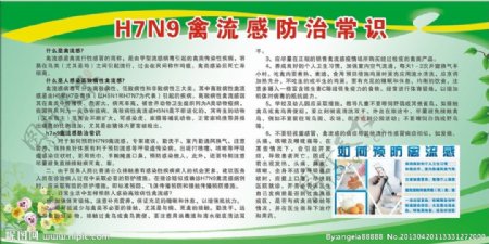 H7N9禽流感防治常图片