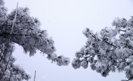 渑池韶山雪景图片