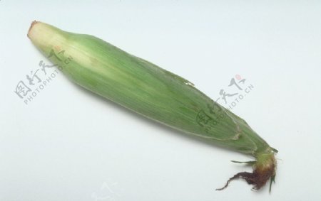 玉米特写成熟玉米绿色玉米穗图片