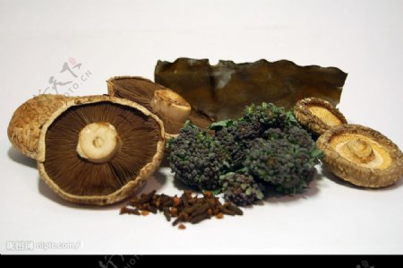 佐料干货蘑菇图片