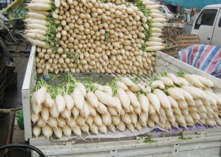 蔬菜批发市场照片图片