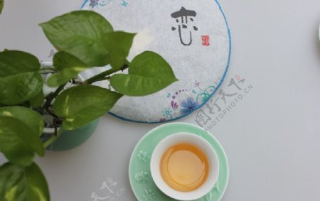 茶叶普洱茶泡茶图片