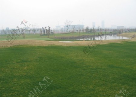 冬天高尔夫球场图片