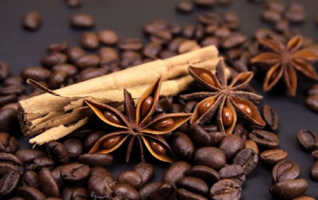 咖啡咖啡豆茴香图片