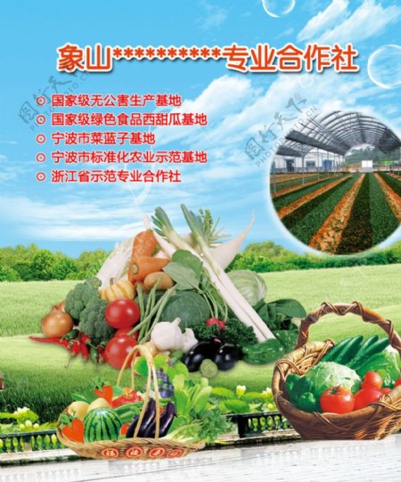 农产品展板图片