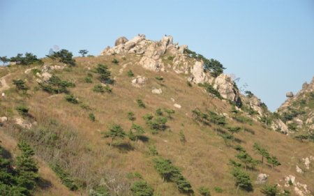 青岛浮山二峰图片