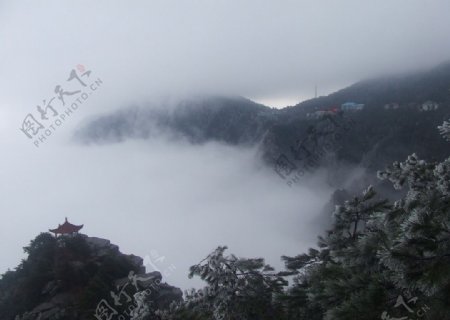 雾峰雪树图片