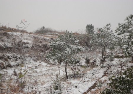 山村雪景图片