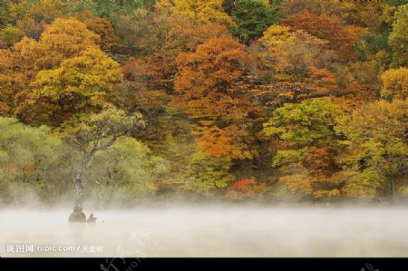 秋色山景图片