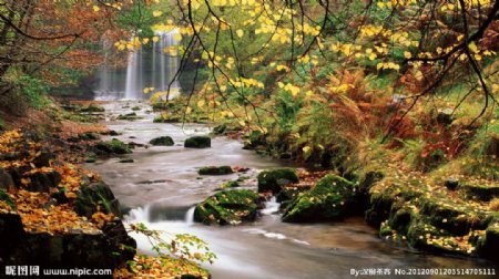 秋季溪流图片