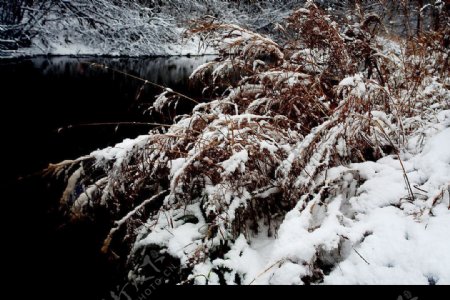 巴兰河雪景图片