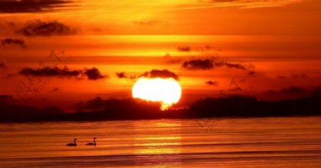 天鹅湖上的夕阳图片