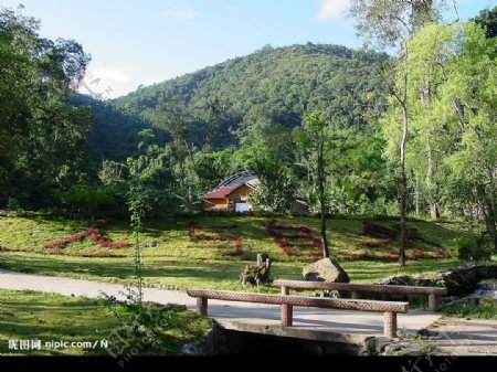 莫里热带雨林景区之小屋图片