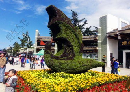 花草植物造性图片