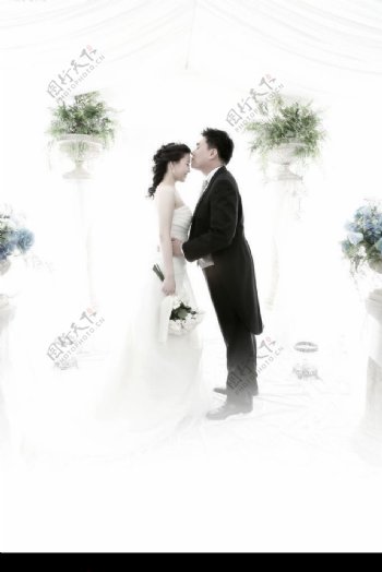 韩国结婚照图片
