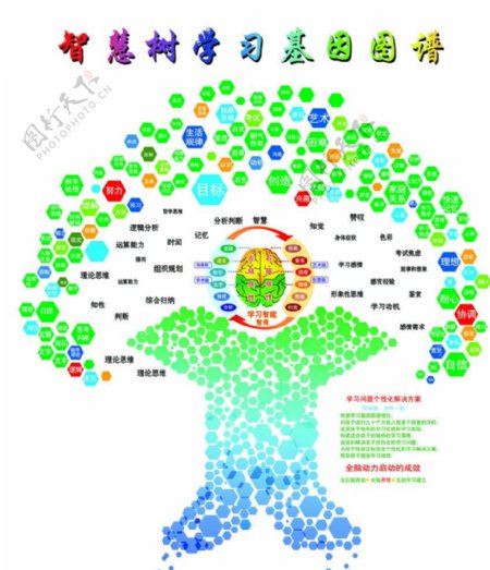 智慧树学习基因图谱图片