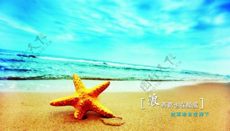 沙滩海星蓝天图片
