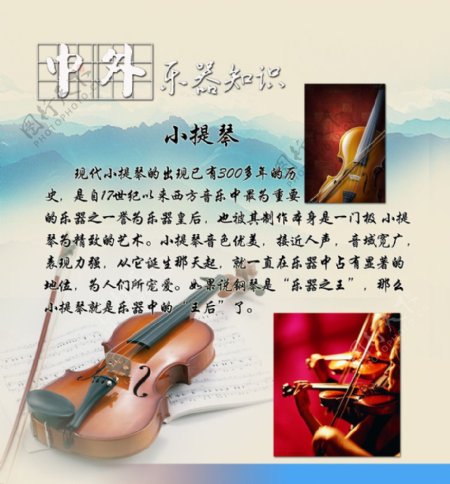 中外乐器知识小提琴图片