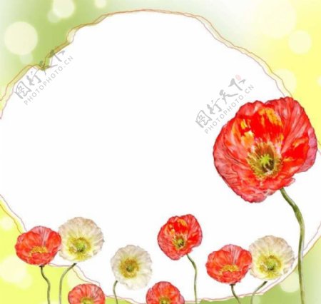 鲜花花朵背景图片