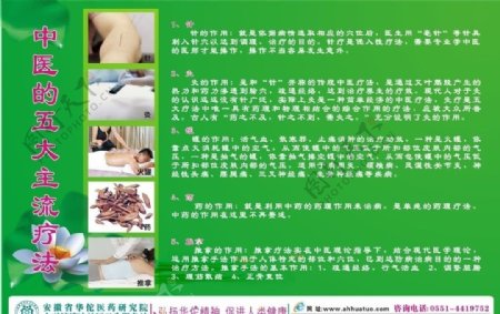 中医五大主流疗法图片
