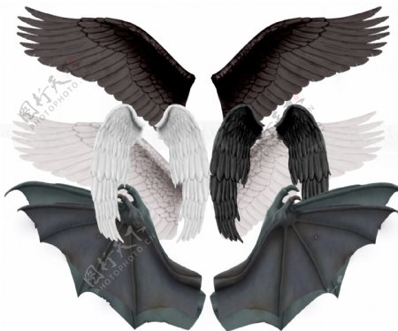 天使恶魔翅膀素材合集图片
