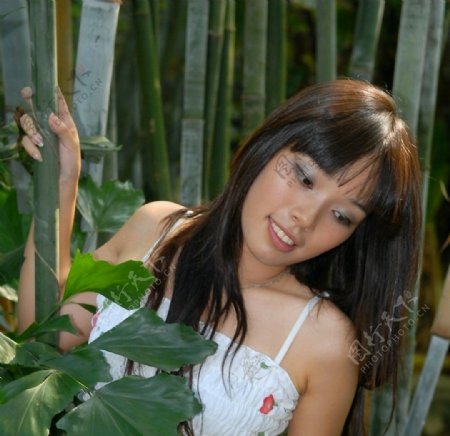 竹林中的美女图片