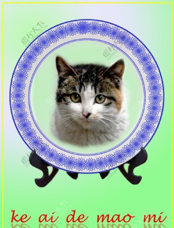 可爱的猫咪瓷盘模板图片