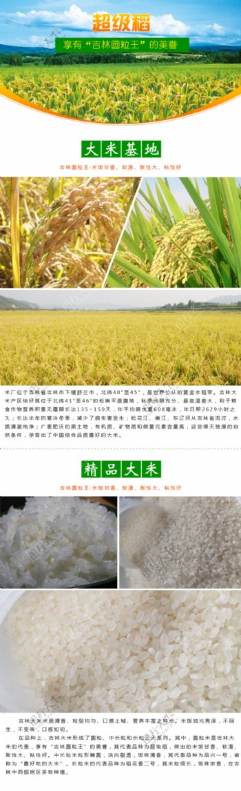淘宝水稻详情设计图片