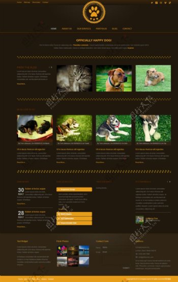 宠物相关网站模板图片