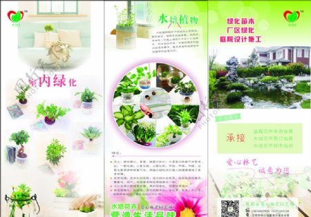 水培盆栽三折页图片