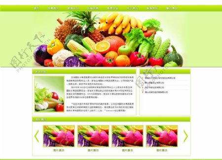 简单蔬果会议网站图片