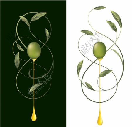 橄榄设计图片